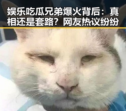 娱乐吃瓜兄弟爆火背后：真相还是套路？网友热议纷纷