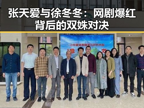 张天爱与徐冬冬：网剧爆红背后的双姝对决