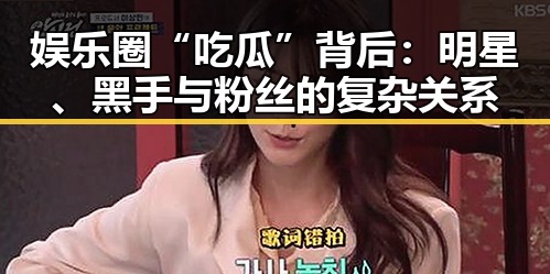 娱乐圈“吃瓜”背后：明星、黑手与粉丝的复杂关系